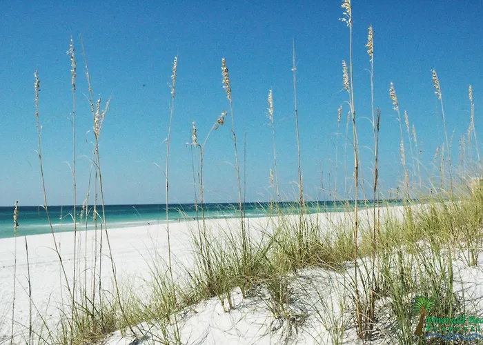 Top Of The Gulf 625 \'Beach Perfect\'